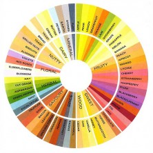 All_sizes___The_Flavor_Wheel___Flickr_-_Photo_Sharing_